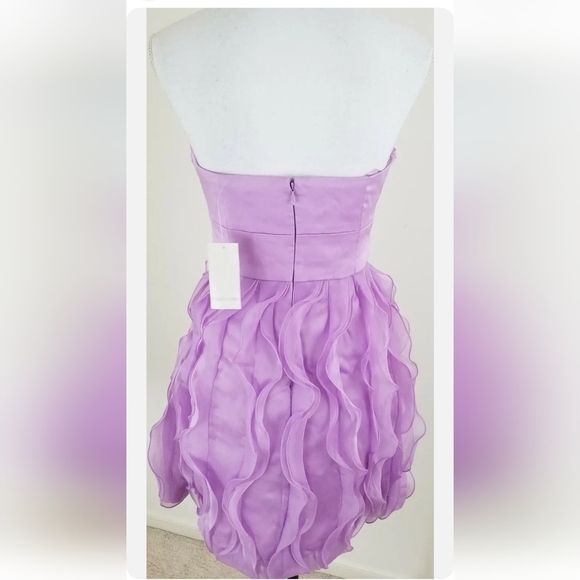 Max and Cleo~Size 8~Dusty Violet DANIELLE Formal Prom Ballon Dress NEW. - Picture 4 of 5